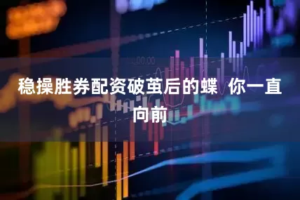 稳操胜券配资破茧后的蝶  你一直向前
